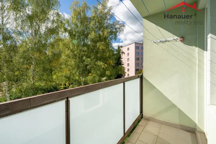 Prodej bytu 2+1, Děčín - Děčín VI-Letná, Školní, 63 m2