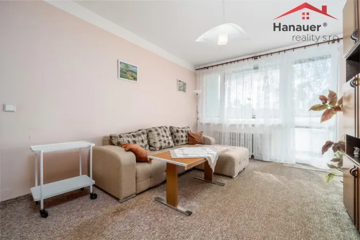Prodej bytu 2+1, Děčín - Děčín VI-Letná, Školní, 63 m2