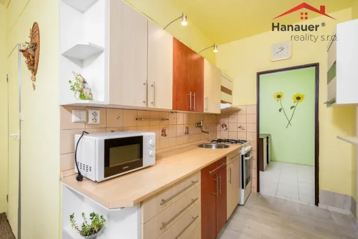 Prodej bytu 2+1, Děčín - Děčín VI-Letná, Školní, 63 m2