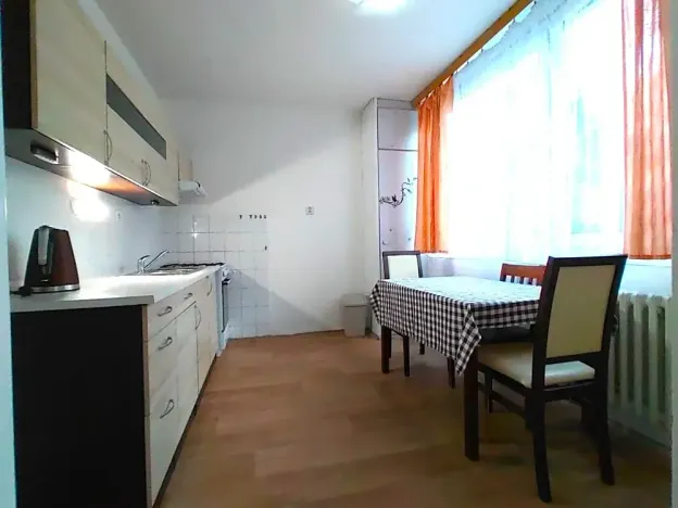 Pronájem bytu 1+1, Mladá Boleslav, U stadionu, 42 m2