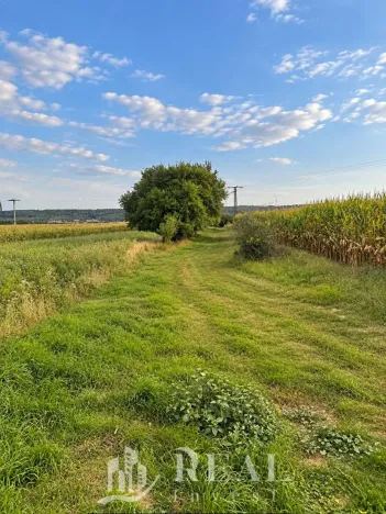 Prodej pozemku pro bydlení, Bílé Podolí - Zaříčany, 915 m2