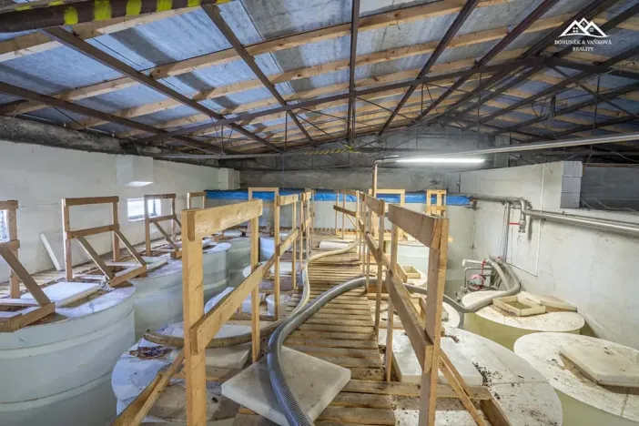 Pronájem výrobních prostor, Nová Ves u Chotěboře, 266 m2
