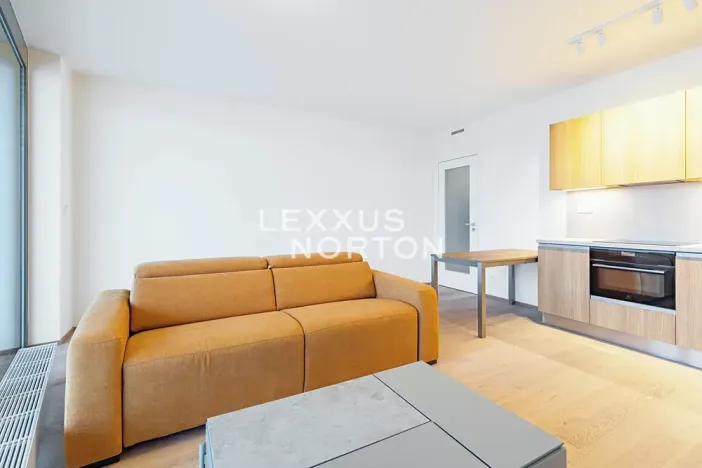Pronájem bytu 1+kk, Praha - Smíchov, Šiklové, 38 m2