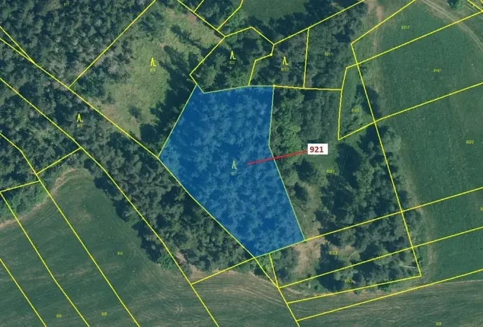 Dražba lesa, Kovčín, 4401 m2