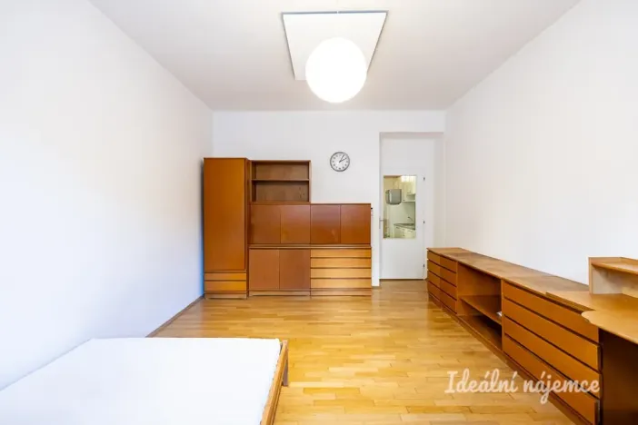 Pronájem bytu 1+kk, Praha - Žižkov, Biskupcova, 29 m2