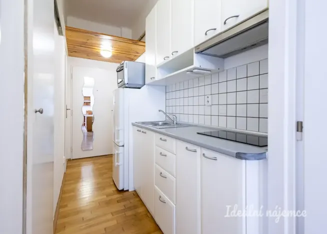 Pronájem bytu 1+kk, Praha - Žižkov, Biskupcova, 29 m2