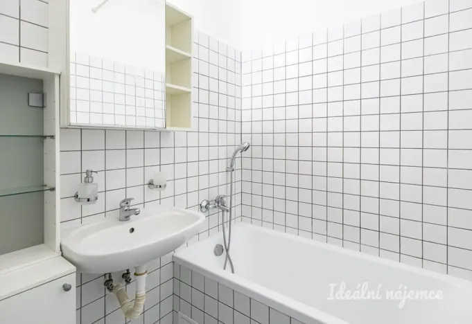 Pronájem bytu 1+kk, Praha - Žižkov, Biskupcova, 29 m2