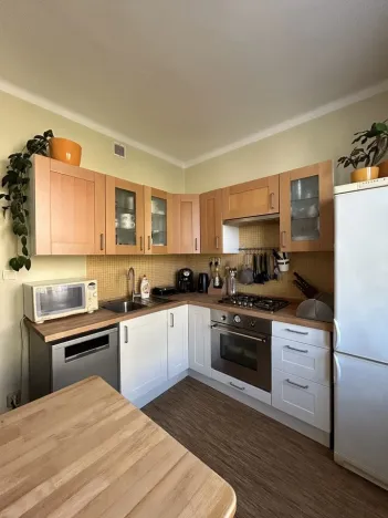 Prodej bytu 2+1, Plzeň - Východní Předměstí, Krejčíkova, 62 m2