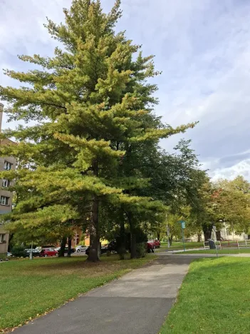 Prodej bytu 2+1, Kopřivnice, Štramberská, 54 m2