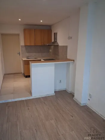 Pronájem bytu 1+kk, Olomouc, 20 m2
