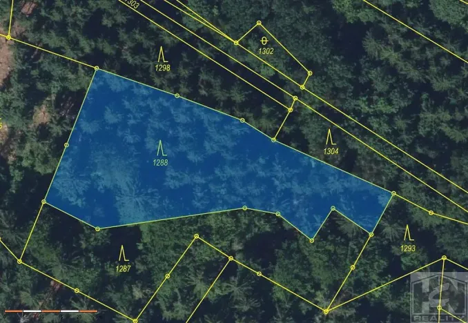 Prodej lesa, Paseky nad Jizerou, 2272 m2