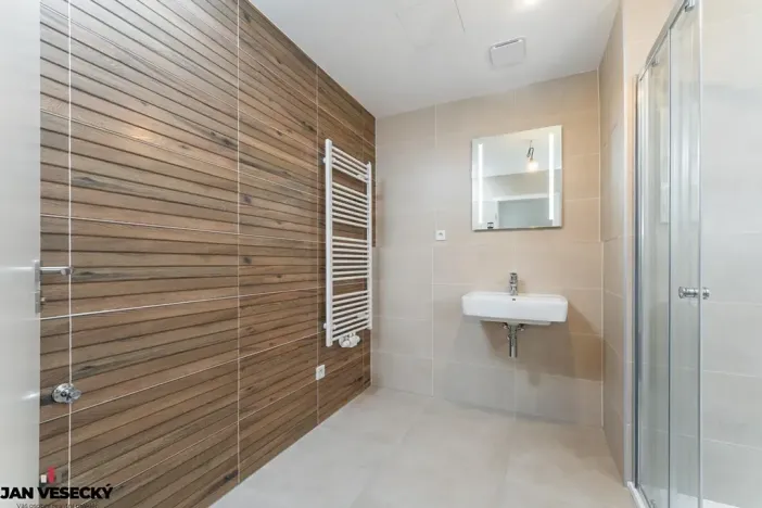 Prodej bytu 1+kk, Plzeň, Železná, 38 m2