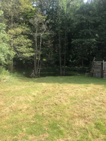 Prodej rybníku, Vítězná, 2385 m2
