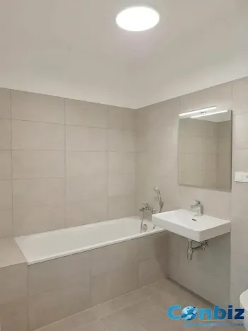 Pronájem bytu 2+kk, Praha - Karlín, Švarcova, 54 m2