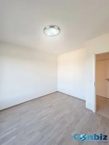 Pronájem bytu 3+kk, Praha - Karlín, Švarcova, 75 m2