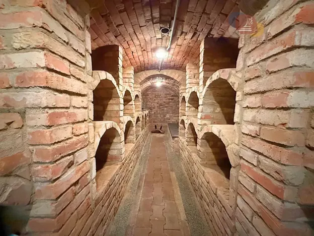 Prodej vinného sklepa, Mutěnice, Slovácká, 164 m2