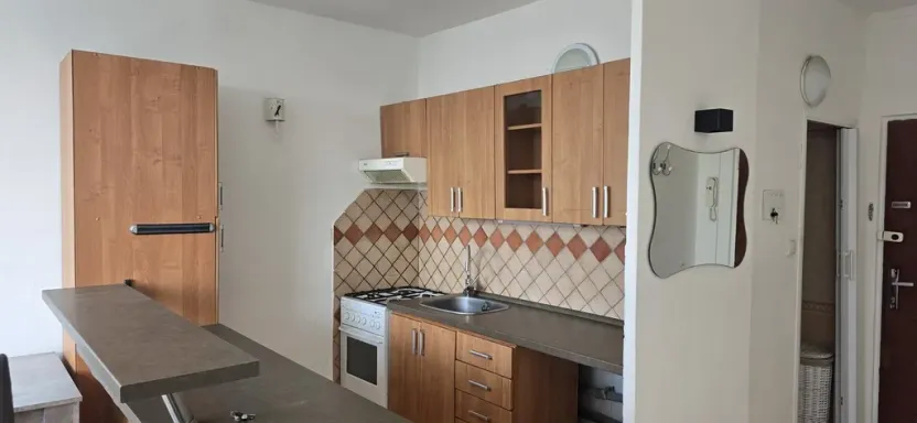 Pronájem bytu 1+1, Ústí nad Labem - Střekov, Truhlářova, 36 m2