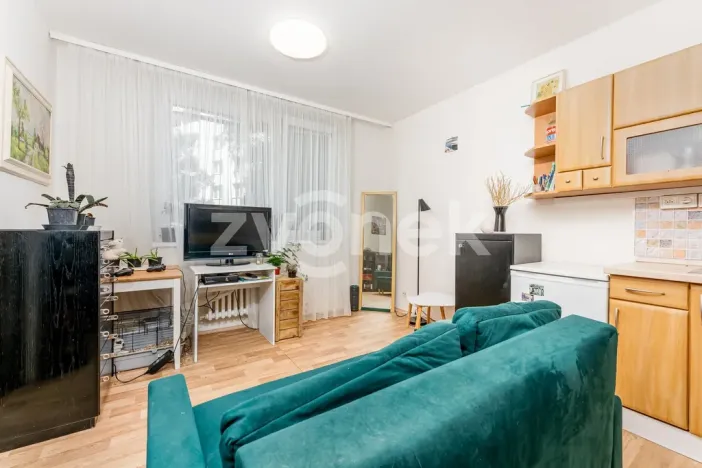 Prodej bytu 1+1, Zlín, 2. května, 40 m2