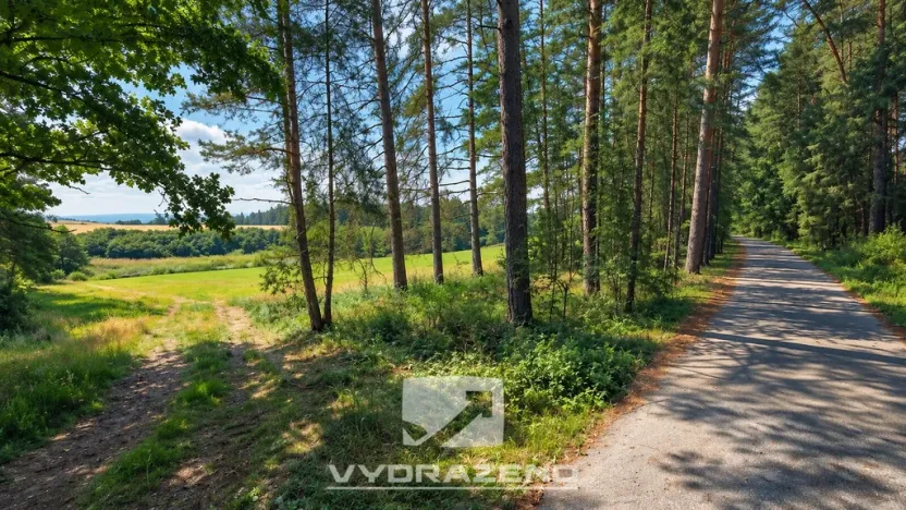 Prodej lesa, Chrášťany, 1726 m2