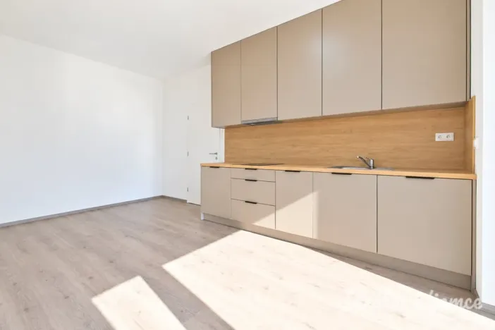 Pronájem bytu 1+kk, Brno - Trnitá, Křenová, 40 m2