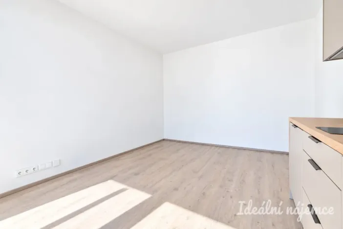 Pronájem bytu 1+kk, Brno - Trnitá, Křenová, 40 m2