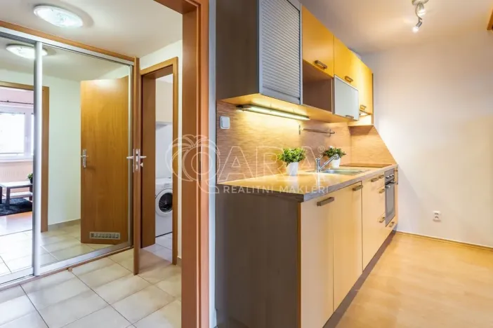 Pronájem bytu 1+kk, Dolní Břežany, Ke Kapličce, 30 m2