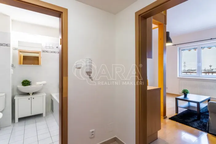 Pronájem bytu 1+kk, Dolní Břežany, Ke Kapličce, 30 m2