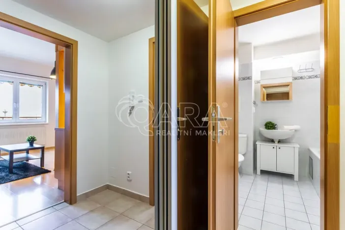 Pronájem bytu 1+kk, Dolní Břežany, Ke Kapličce, 30 m2