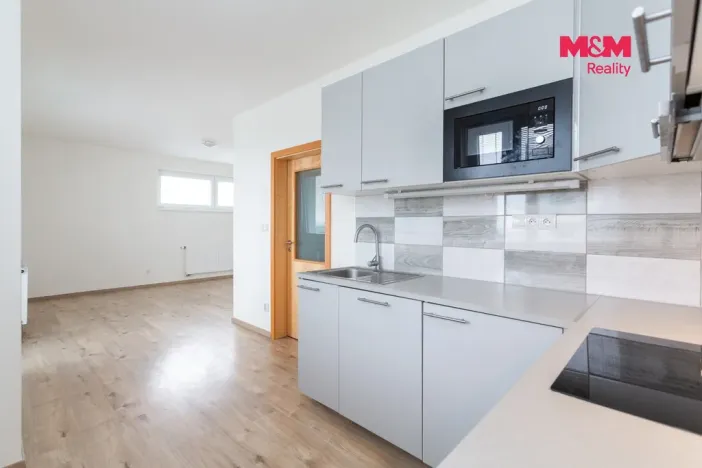 Pronájem bytu 1+kk, Plzeň - Litice, Vysoká, 38 m2