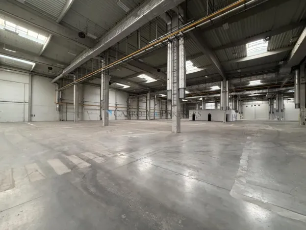 Pronájem skladu, Ostrava - Kunčičky, Lihovarská, 6000 m2