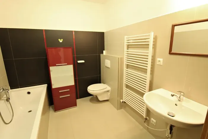 Pronájem bytu 1+kk, Mladá Boleslav, 50 m2
