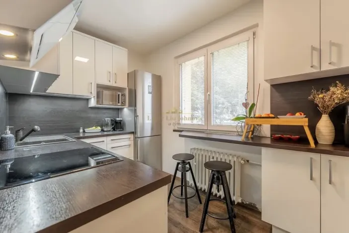 Prodej bytu 2+1, Praha - Žižkov, Pod lipami, 52 m2