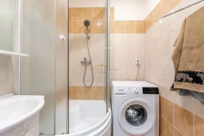 Prodej bytu 2+1, Praha - Žižkov, Pod lipami, 52 m2
