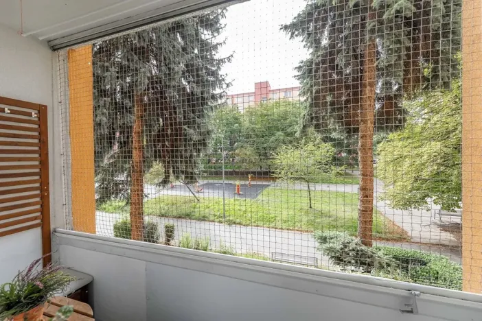 Prodej bytu 2+1, Praha - Žižkov, Pod lipami, 52 m2