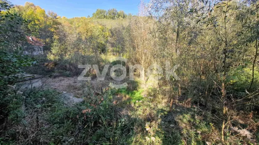 Prodej rybníku, Halenkovice, 2136 m2