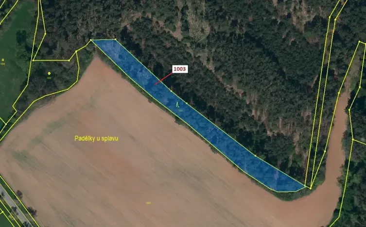 Dražba lesa, Náměšť nad Oslavou, 3001 m2