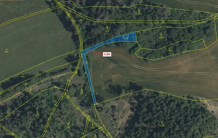 Dražba lesa, Volfířov, 536 m2