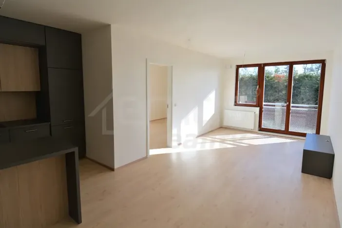 Pronájem bytu 2+kk, Praha, Davídkova, 60 m2