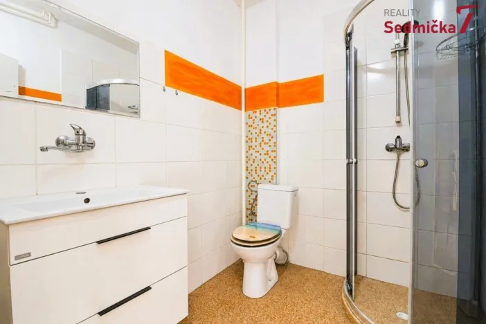 Prodej rodinného domu, Únanov, 300 m2