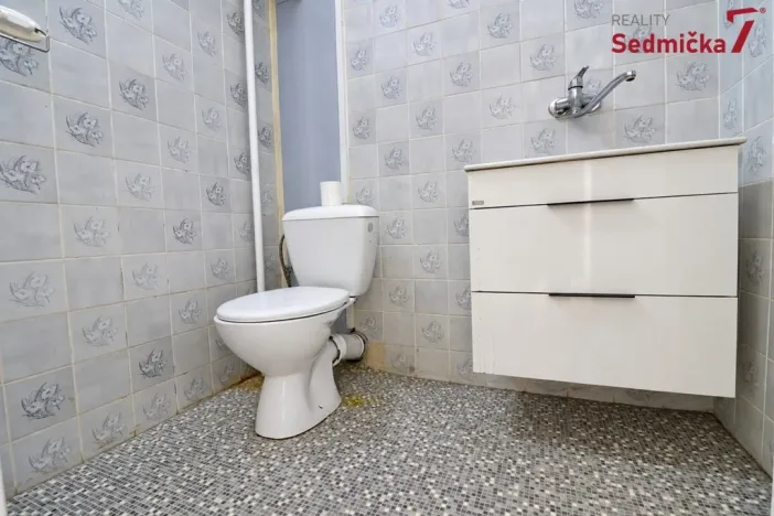 Prodej rodinného domu, Únanov, 300 m2