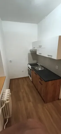 Pronájem bytu 1+1, Ústí nad Labem, Masarykova, 49 m2