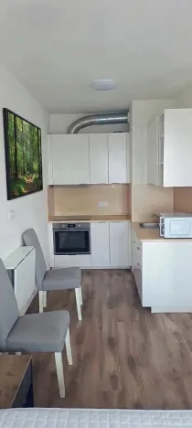 Pronájem bytu 1+kk, Plzeň, Pecháčkova, 42 m2