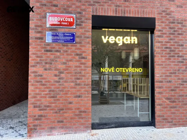 Pronájem bytu 1+kk, Praha - Žižkov, Kaplířova, 39 m2