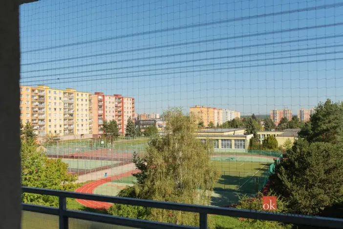 Prodej bytu 1+1, Plzeň - Bolevec, Studentská, 39 m2