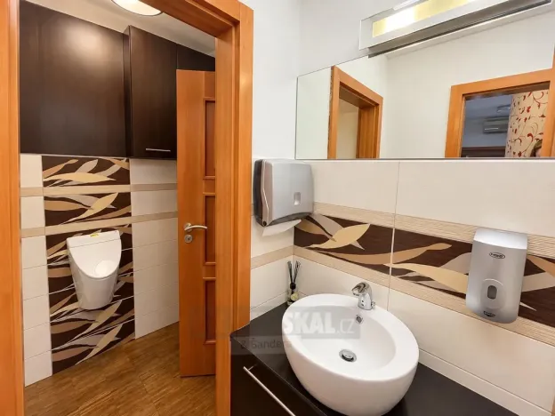 Pronájem kanceláře, České Budějovice - České Budějovice 1, Hroznová, 276 m2