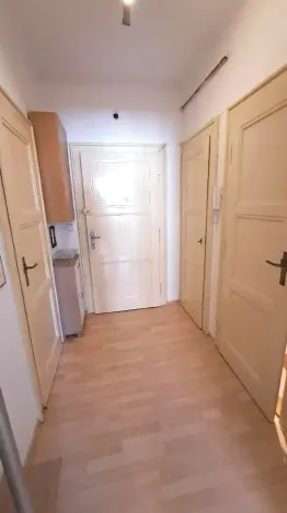 Prodej bytu 2+kk, Praha - Žižkov, Hartigova, 48 m2
