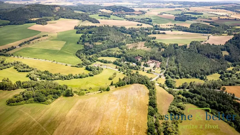 Prodej lesa, Zvěstov, 45954 m2