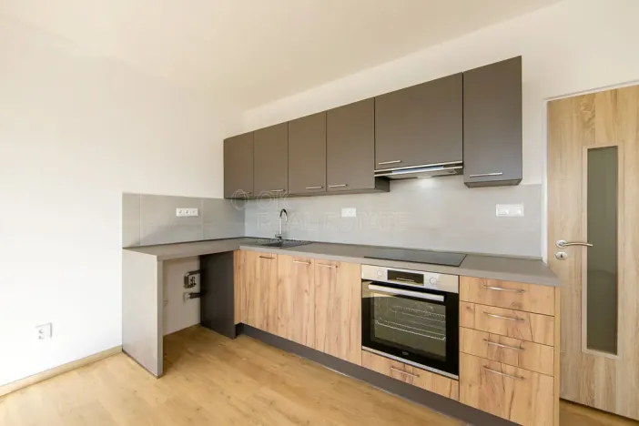 Pronájem bytu 1+kk, Planá, Bohušova, 31 m2