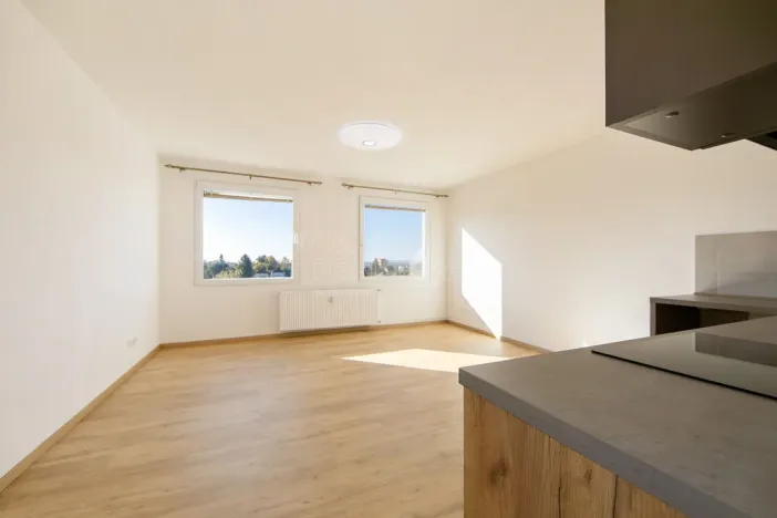 Pronájem bytu 1+kk, Planá, Bohušova, 31 m2