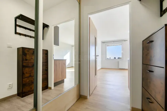 Pronájem bytu 1+kk, Planá, Bohušova, 31 m2